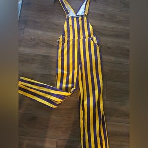 Purple & Gold Game Day Bibs